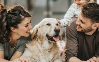 Save on Home Insurance in Gastonia: Cutting Costs without Cutting Corners