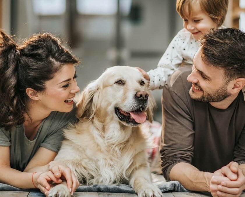 Save on Home Insurance in Gastonia: Cutting Costs without Cutting Corners